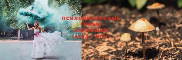 ешки Богданович
