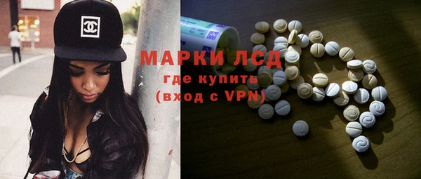 индика Богородск
