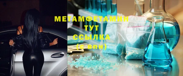 индика Богородск