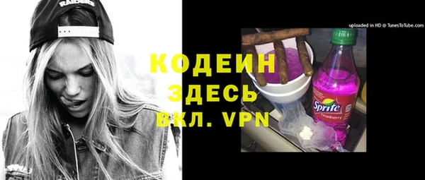 индика Богородск