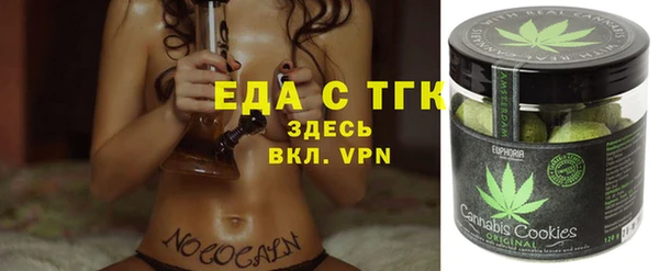 индика Богородск