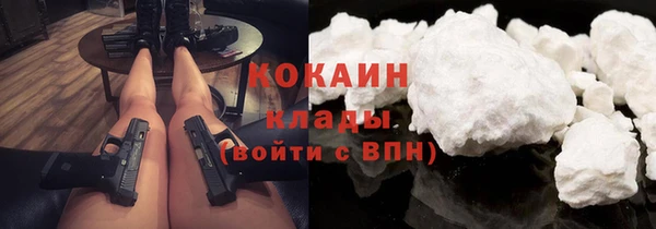 индика Богородск
