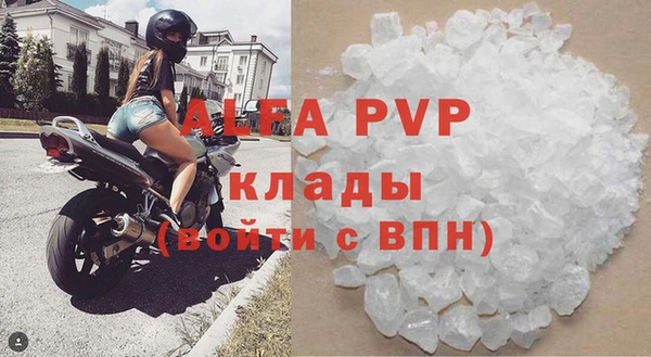 ешки Богданович