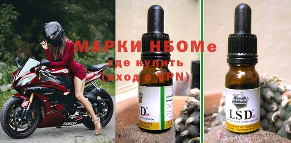 индика Богородск