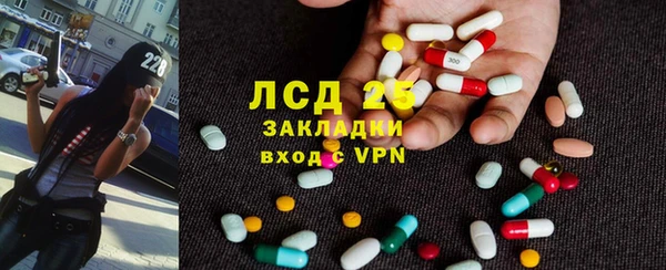 индика Богородск
