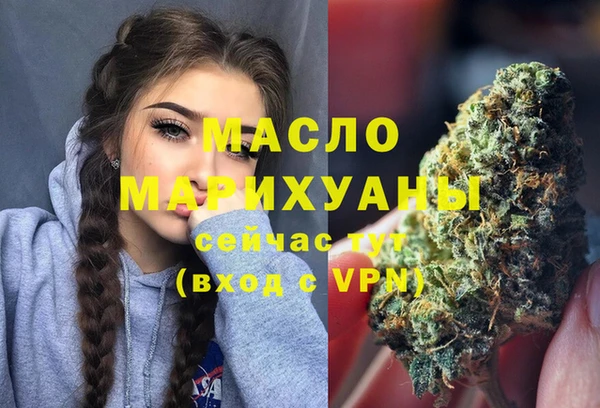 индика Богородск