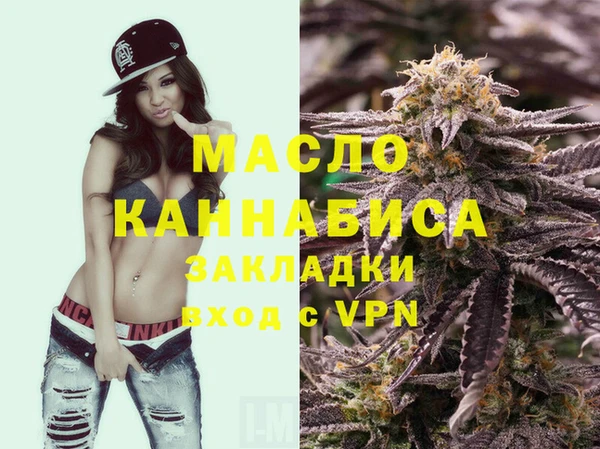 индика Богородск