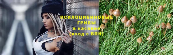 ешки Богданович