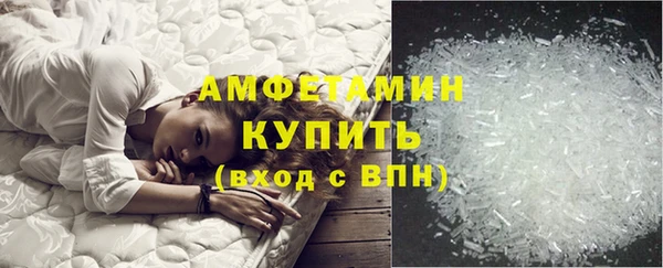 индика Богородск