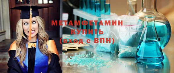 индика Богородск