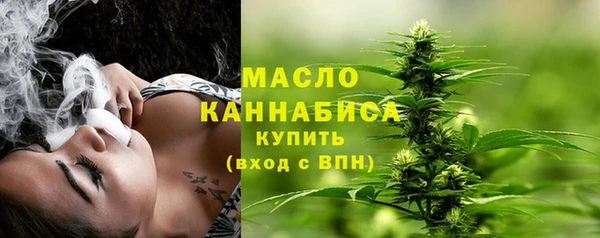 индика Богородск
